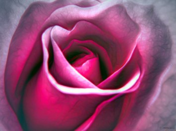 Obituary of Sonia Galack