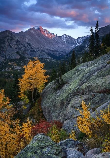 Obituary of Randall Lee Hibler