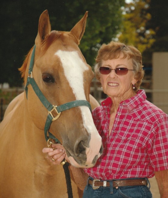 Obituary of Barbara Lenore Peterson