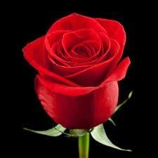 Avis de décès de Hyacinth Rose McGhie