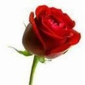 Obituary of Marilyn Rosella Williams