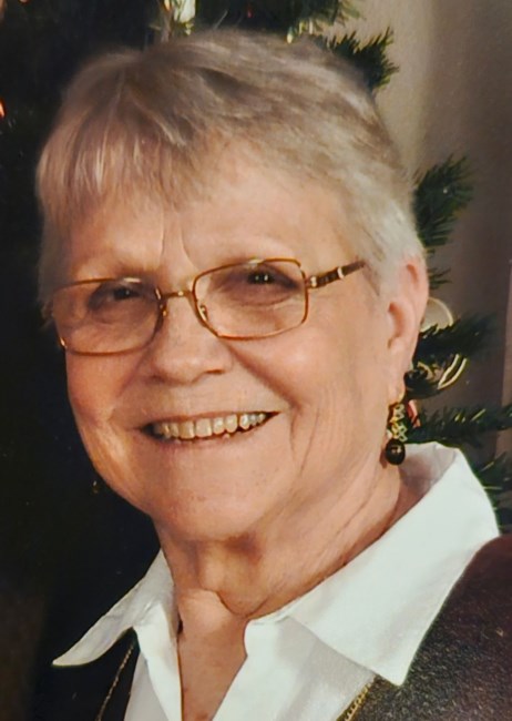 Obituary of Dixie Carol Seibel