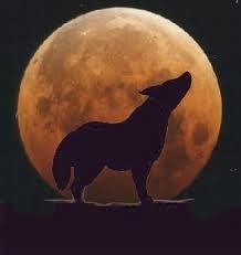 Obituary of Howard Coyote Charlie Rudy Chavez Jr.