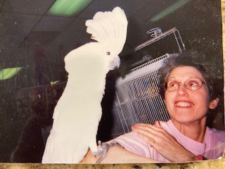 Obituary of Elaine Gottlieb