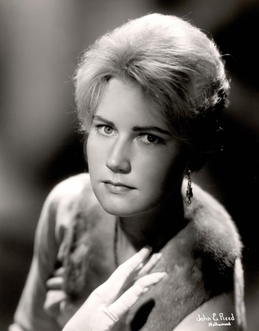 Obituary of Diane Ruth Hatch