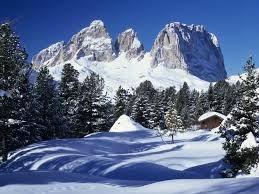 Obituary of Janet Budar