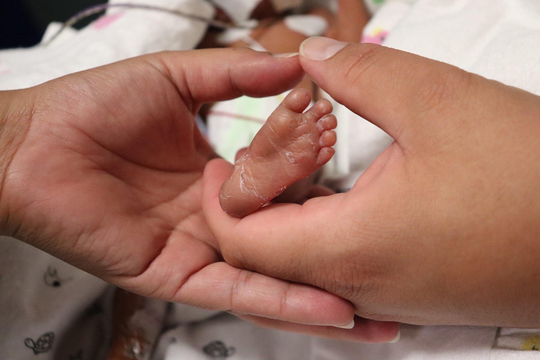 Obituary of Maximo Raphael Martinez