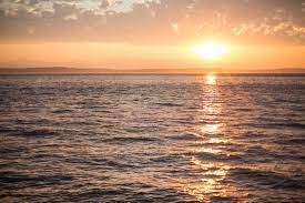 Obituary of Marisol Raya Bermudez