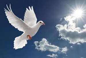 Obituary of Rodolfo Jaime Sanchez