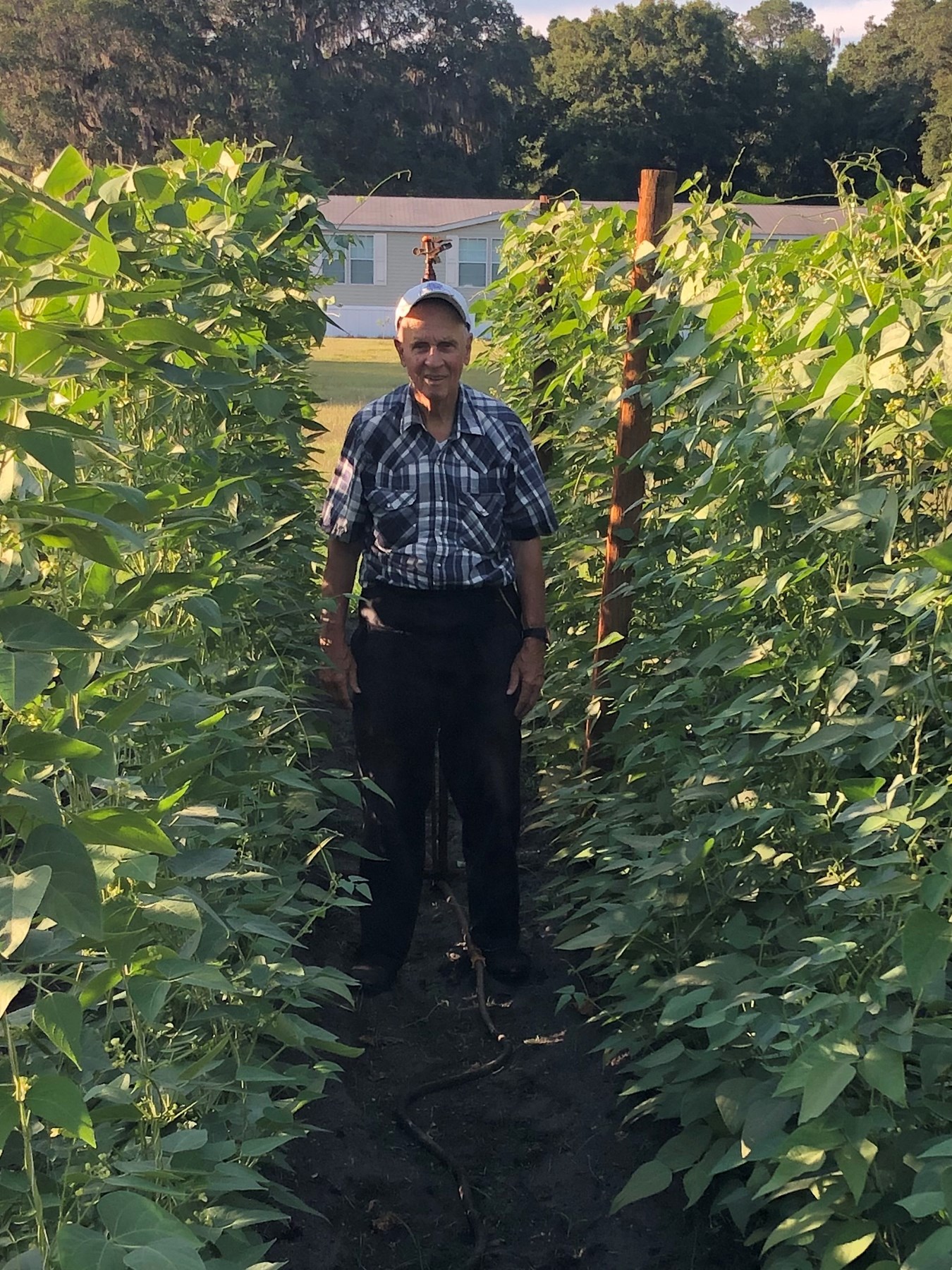 Obituary of Thomas M Harrell