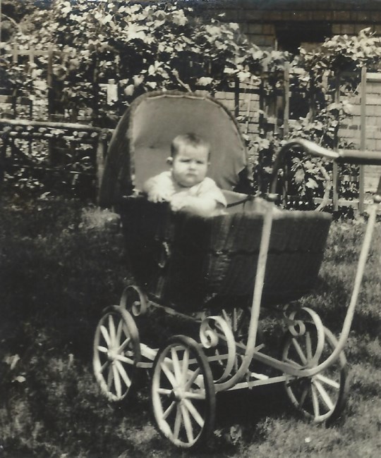 Rosemary Christensen Avis De Deces Torrance Ca