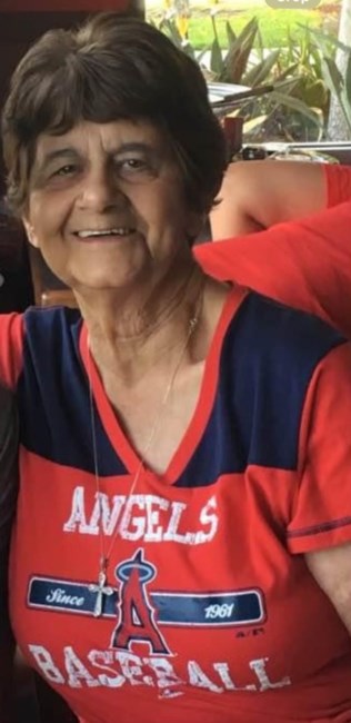 Obituary of Sally Ann Demasi