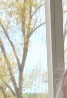 Mr. Cecil A Parsons Obituary Pickens, SC