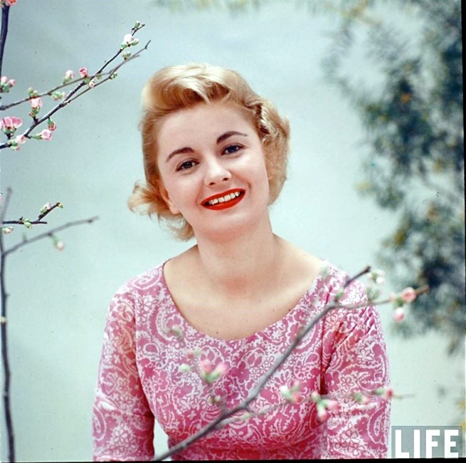 Obituary of Jo S. Loesser