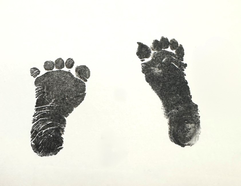 Obituary of Ana Sofia Sanchez