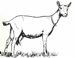 Obituary of John Earl Lariscy Sr.