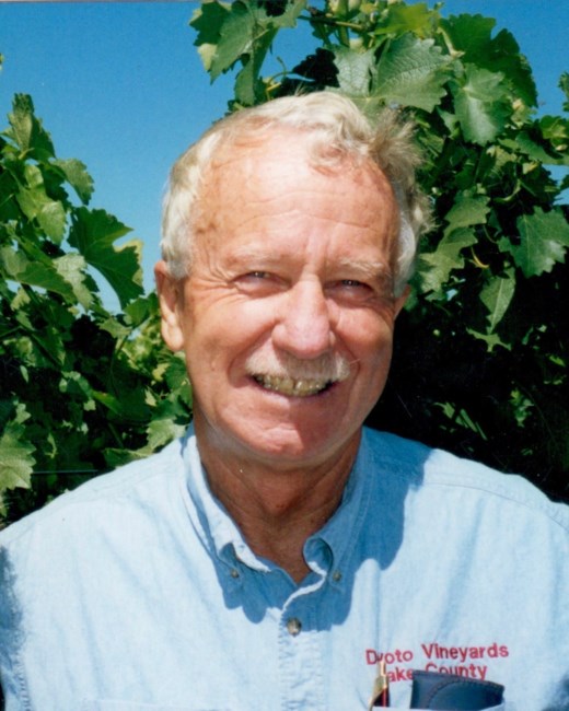 Obituary of Steve   Devoto