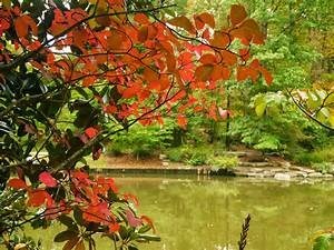 Obituary of Marjorie Della Harlow