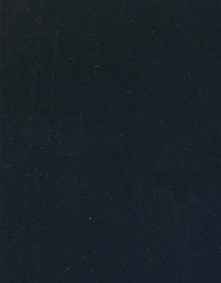 Susan Siebert's Instagram, Twitter & Facebook on IDCrawl