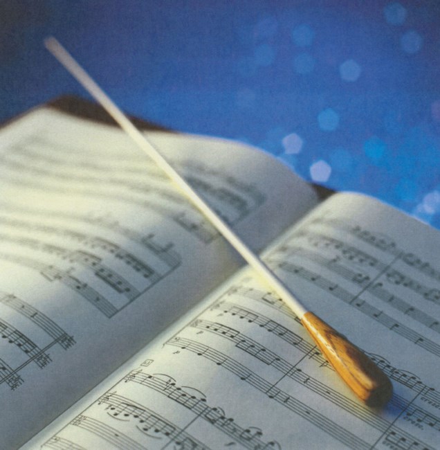 Obituary of Patricia Ann Luppino