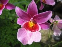 Obituary of Gary E. Williams