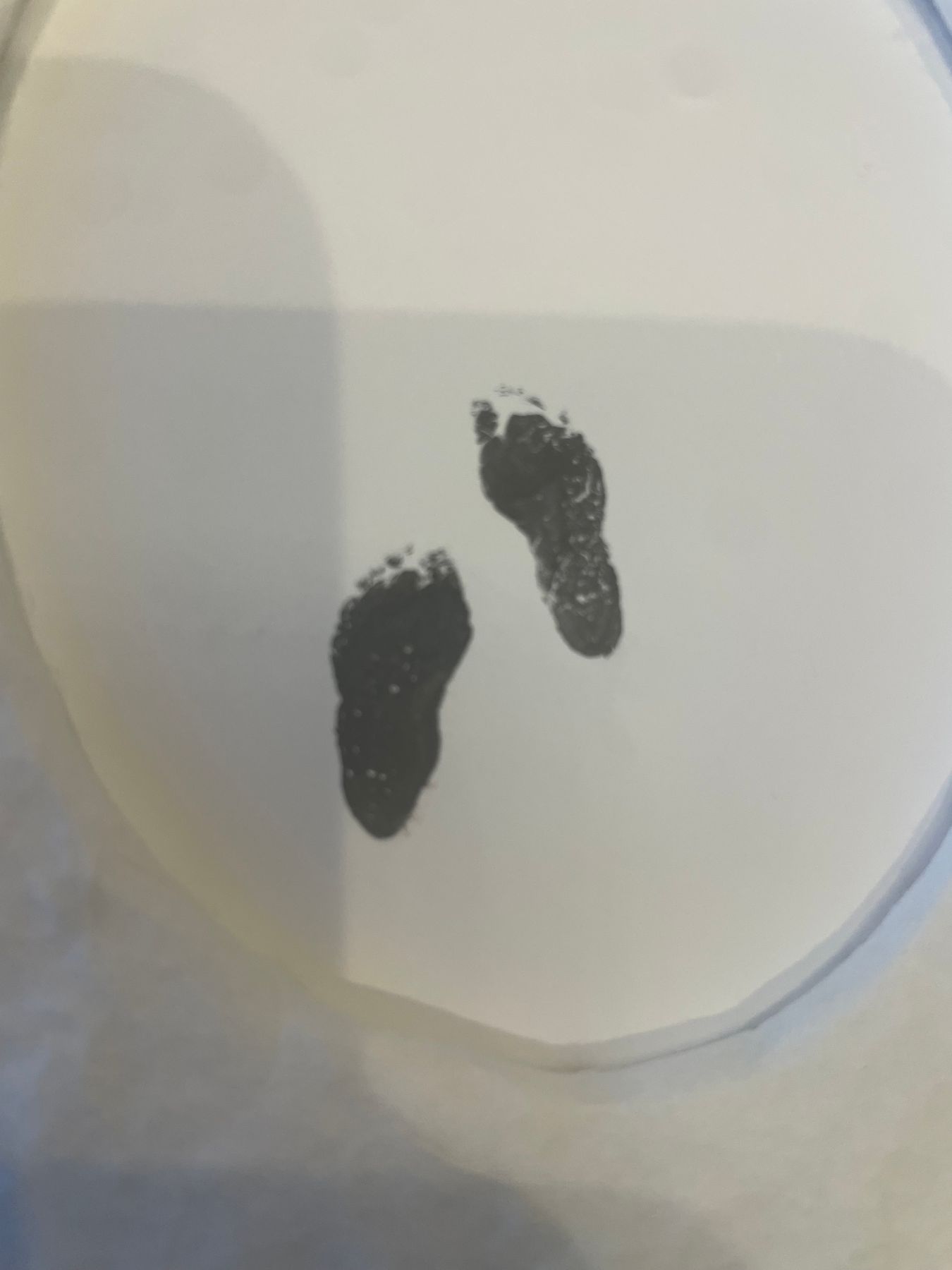 Obituary of Baby Ronald Wright II