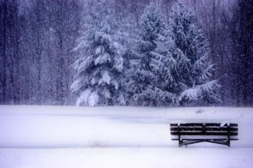 Obituary of Robert Velkers