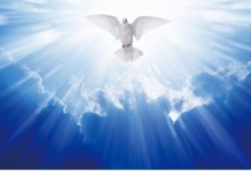 Avis de décès de Patricia Anne Bischoff