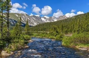 Obituary of William Robert Pitman