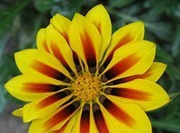 Obituary of Jo Ann M. Jordan