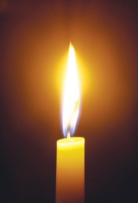 Obituary of Dao Hung Tran