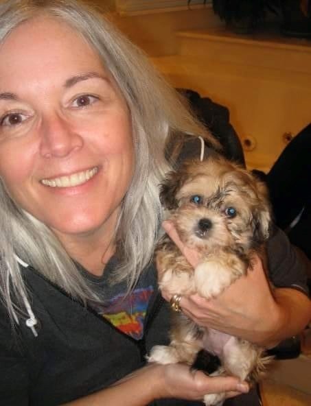 Obituary of Diane Elizabeth Ibbotson