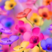 Avis de décès de Mary Lou Hammond