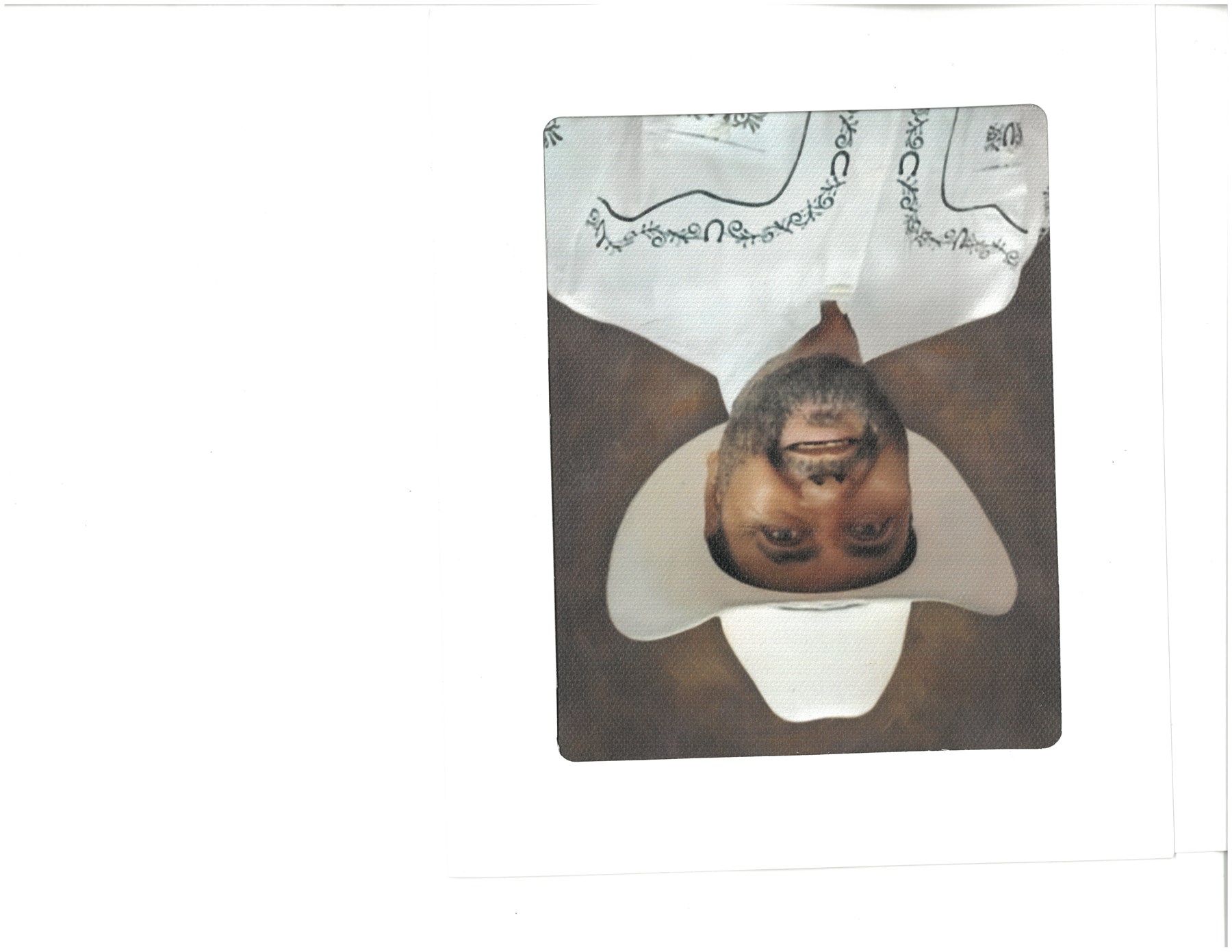 Obituary of Raul Falcon Galvan