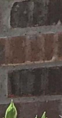 Thelma Reyes Obituary - Fort Worth, TX