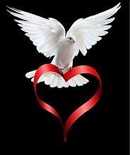 Obituary of Christopher Jon Hammersley