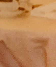 Janice Roberts Obituary - Gadsden, AL