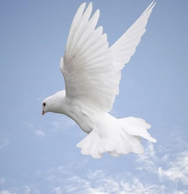 Obituary of Glenn E. Howarth