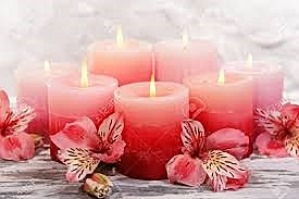 Obituary of Judith L. Radtke