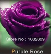 Obituary of Marie G. Cerreta