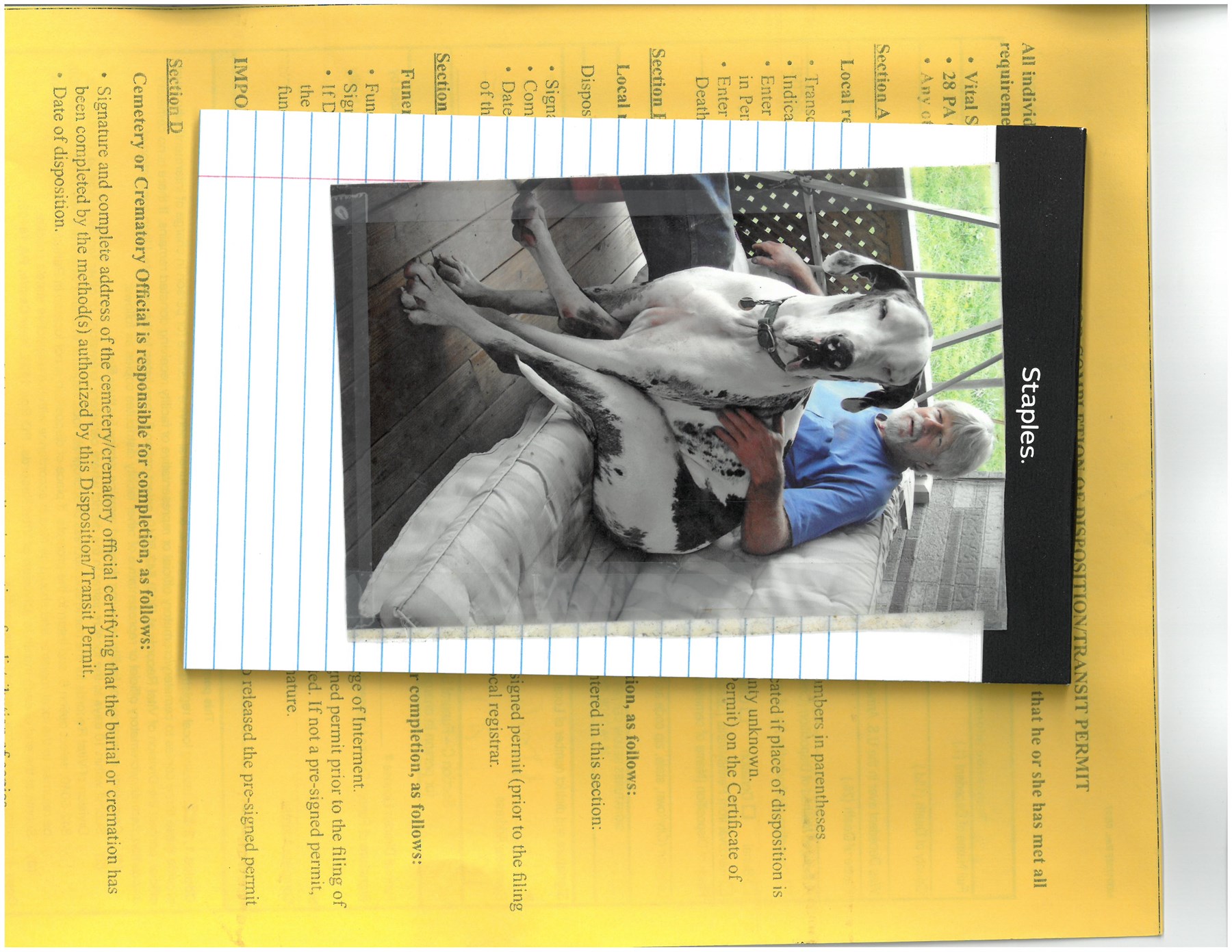 Obituary of William R Holbert