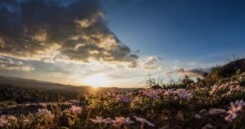 Obituario de Richard Steven Gilman