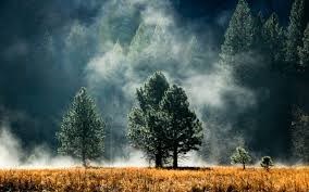 Obituary of Virginia L. Smith