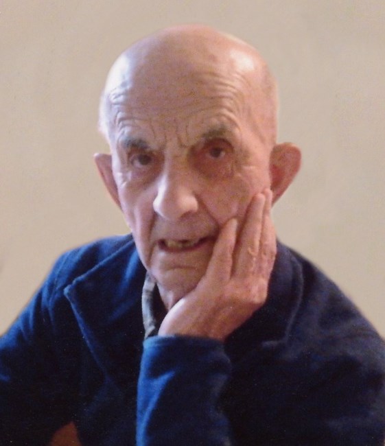 Obituary of Angelo Palandri