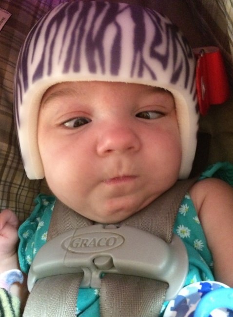 Obituary of Hollynn Reese Shelton