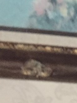 Paul Lewis Rothstein Obituary - Jacksonville, FL