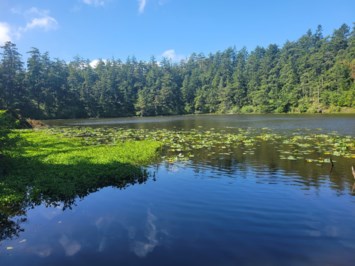 Obituary of Andrew Clark Ebert