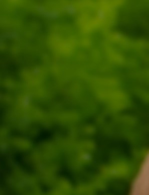 Max Ragan Obituary - Frisco, TX