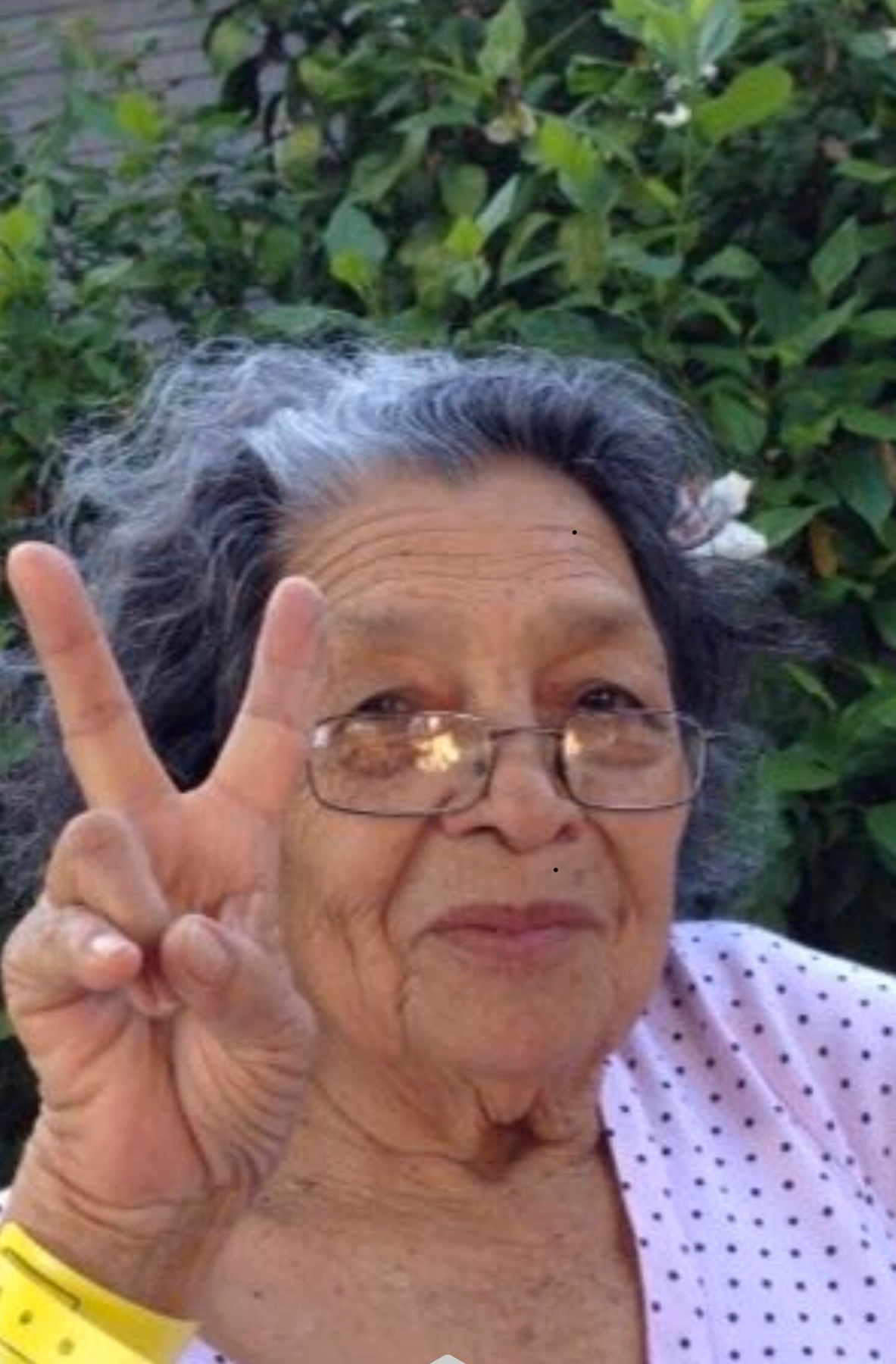 Obituary of Eugenia Polanco