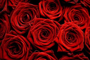 Obituary of Kathryn Stine